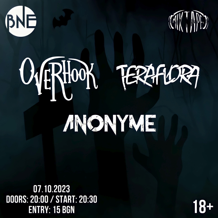 anonyme-overhook-teraflora.JPG