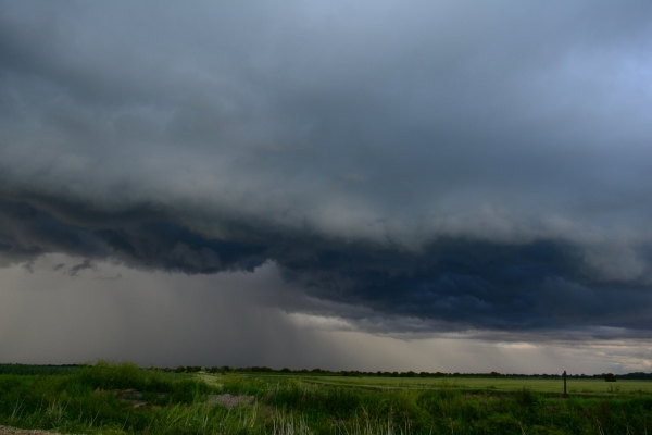 fenlands-image.webp