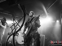 behemoth 036