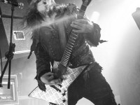 behemoth 040