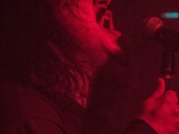primordial 008