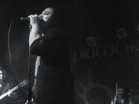 primordial 015