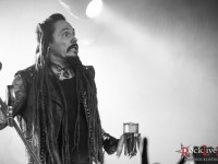 amorphis 2014 18
