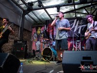 dumbfound 031