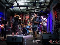 dumbfound 047