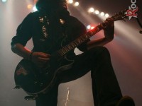 img 1556 stratovarius