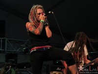 IMG 4292