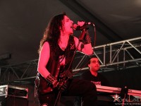 IMG 4461