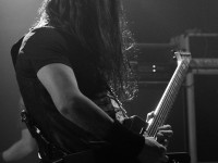 firewind 028