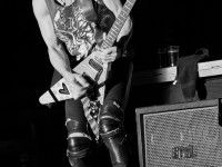 scorpions 003