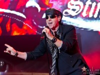 scorpions 008
