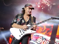scorpions 010