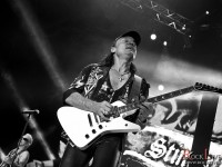 scorpions 011