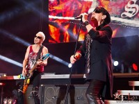 scorpions 012