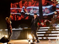 scorpions 014