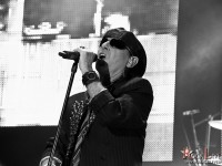 scorpions 019