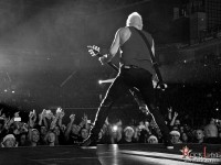 scorpions 021
