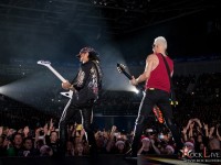 scorpions 022