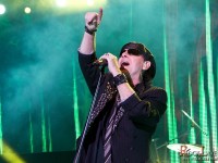scorpions 028