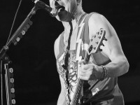 scorpions 030