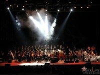tarja 003