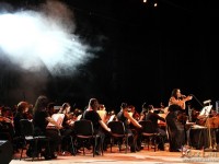 tarja 023