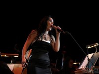 tarja 024