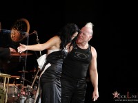 tarja 030