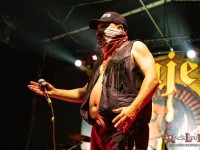 bujeria pirahna goliath