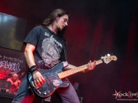cavalera oh ataxxic