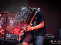 cavalera oh ataxxic
