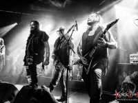 finntroll metatoll suotana