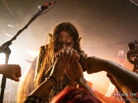 finntroll metatoll suotana
