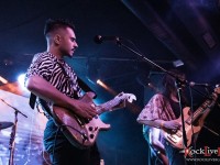 king buffalo