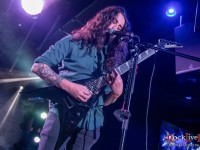 swallow the sun shores of null deadscape