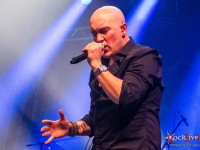 tarja marko sofia