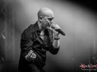 tarja marko sofia
