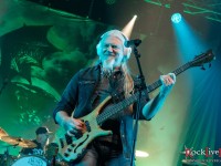 tarja marko sofia
