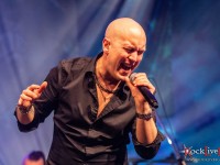 tarja marko sofia