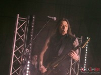 dsctarja